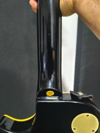 Guitarra Eléctrica Les Paul Jay Turser