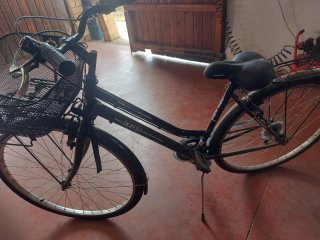 Bicicleta Aurelia Urbana