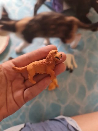 Conjunto animales granja (vaca, perro, elefante)