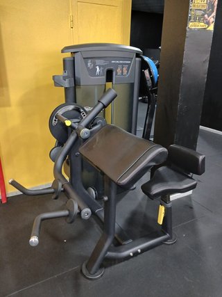 Máquina Gimnasio Curl Bíceps