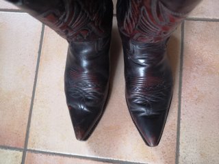 Stivali Texani Sendra Pelle Marroni