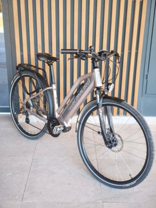 Bicicleta Eléctrica Gris