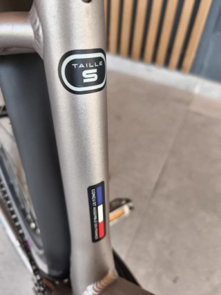 Bicicleta Eléctrica Gris