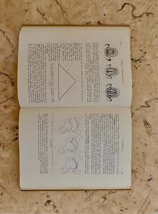 Libro Biología