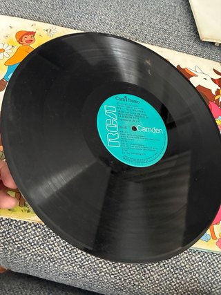 Vinilo Heidi Canta en Español RCA Camden sin tapa