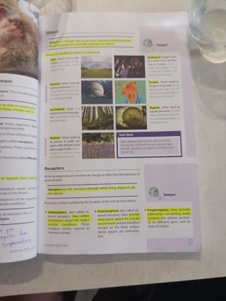 Biology & Geology, 1st ESO, Science Bits