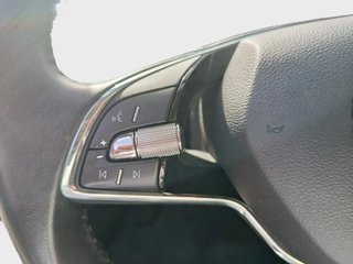 DESDE 251€ AL MES SIN ENTRADA SKODA FABIA TSI 2023