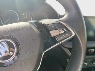 DESDE 251€ AL MES SIN ENTRADA SKODA FABIA TSI 2023