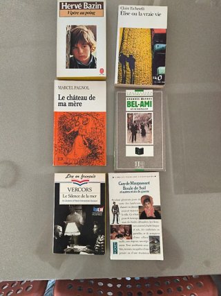 Libros de mano en francés para aprender el idiona