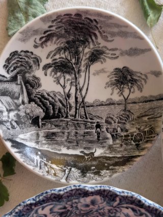 Platos de cuadros historias