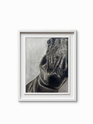 Dibujo a carboncillo: Caballo Hiperrealista