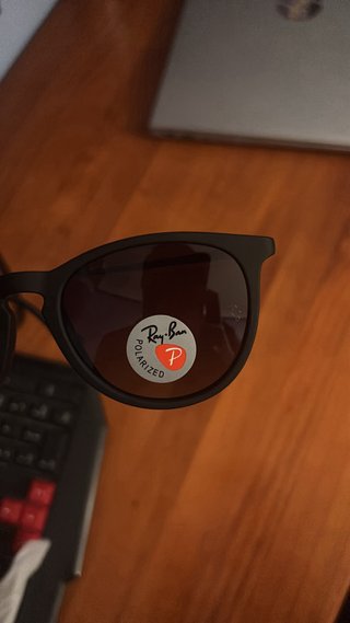 Gafas de sol Ray-Ban Erika negras