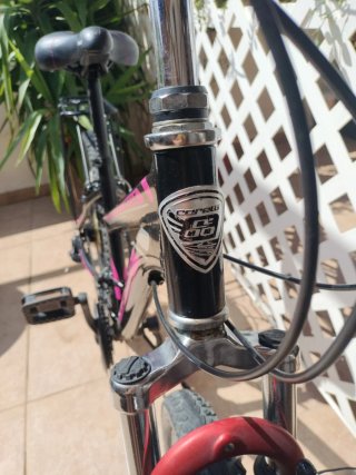 Bicicleta Paseo