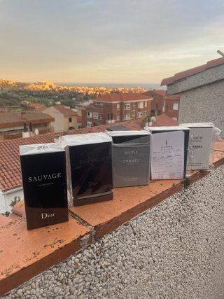 Lote variado de colonias