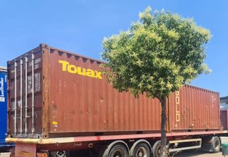 Contenedor marítimo 6m Touax