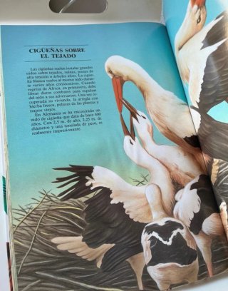 Curiosidades de Los Animales