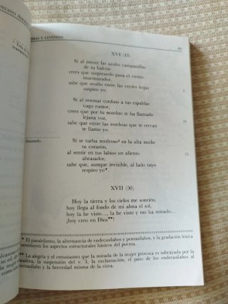 Rimas y Leyendas (Biblioteca Didactica Anaya) (...