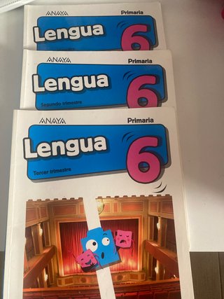 Libros lengua castellana 6 primaria
