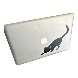 Apple MacBook Pro 13.3 Early 2011