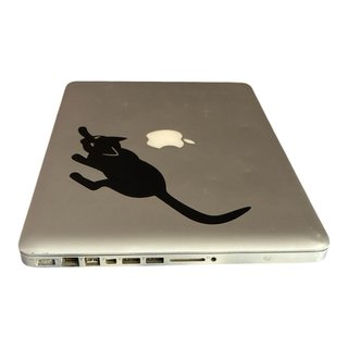 Apple MacBook Pro 13.3 Early 2011