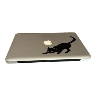 Apple MacBook Pro 13.3 Early 2011