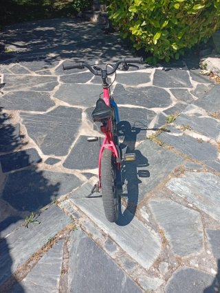 Bicicleta infantil roja y azul