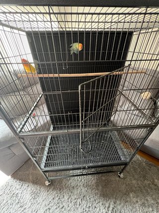 Jaula grande para pájaros