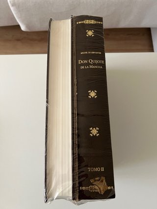 El Quijote de Daniel urrabieta vierge