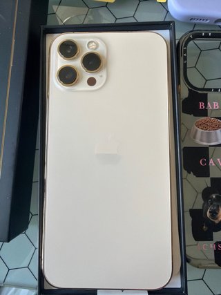 iPhone 12 Pro Max + Accessori