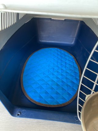 Transportín perro azul y blanco