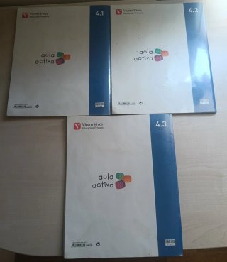 LIBROS MATEMATICAS 4 PRIMARIA VICENS VIVES