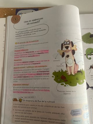 Coneixement del medi. Ciències de la naturalesa 4.