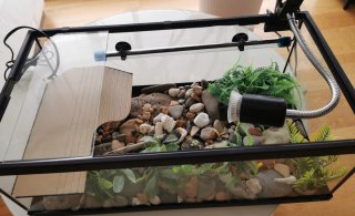 Acuario tortugas con accesorios