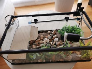 Acuario tortugas con accesorios