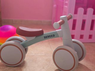 Bici de equilibrio para bebé SEREED