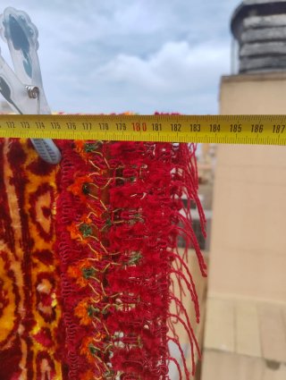 Tapiz Exótico Terciopelo Rojo y Dorado