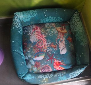 Artículos Peluquería Canina