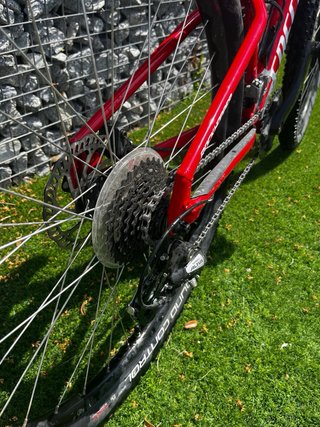 Bicicletta da Montagna Specialized