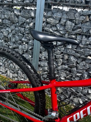 Bicicletta da Montagna Specialized
