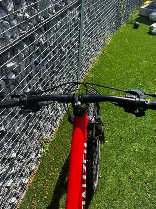 Bicicletta da Montagna Specialized