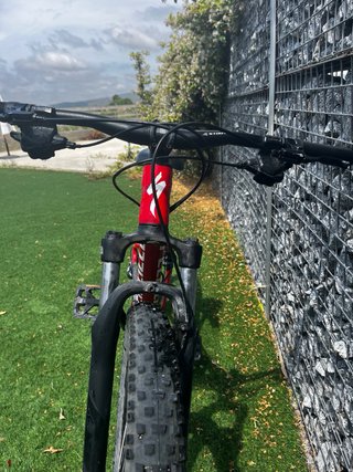 Bicicletta da Montagna Specialized
