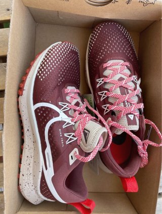 Nike Pegasus Trail 4 Zapatillas Deportivas
