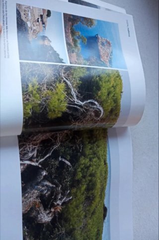 Mallorca gastronomía y cocina. Marga Font.