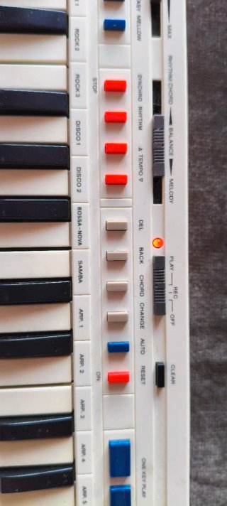 Teclado Electrónico Casio PT-20