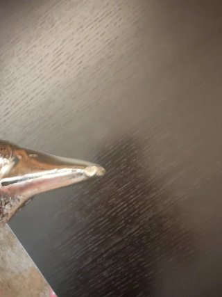 Bastone Sceratonn Argentieri in Brescia