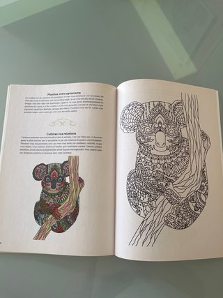 Libro de Colorear Naturaleza y Mandalas