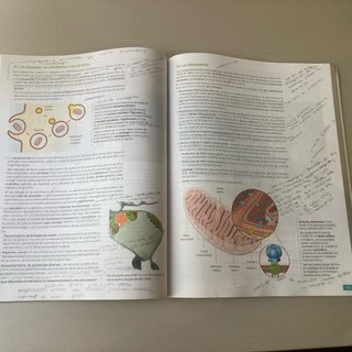 Biología 2º Bachillerato