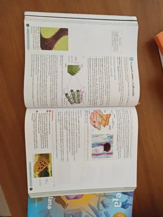 Biología 2º Bachillerato. Libro del estudiante....