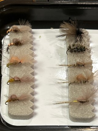 Caja de 48 Moscas Secas Pesca trucha