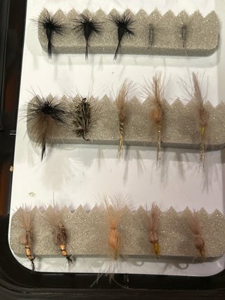 Caja de 48 Moscas Secas Pesca trucha